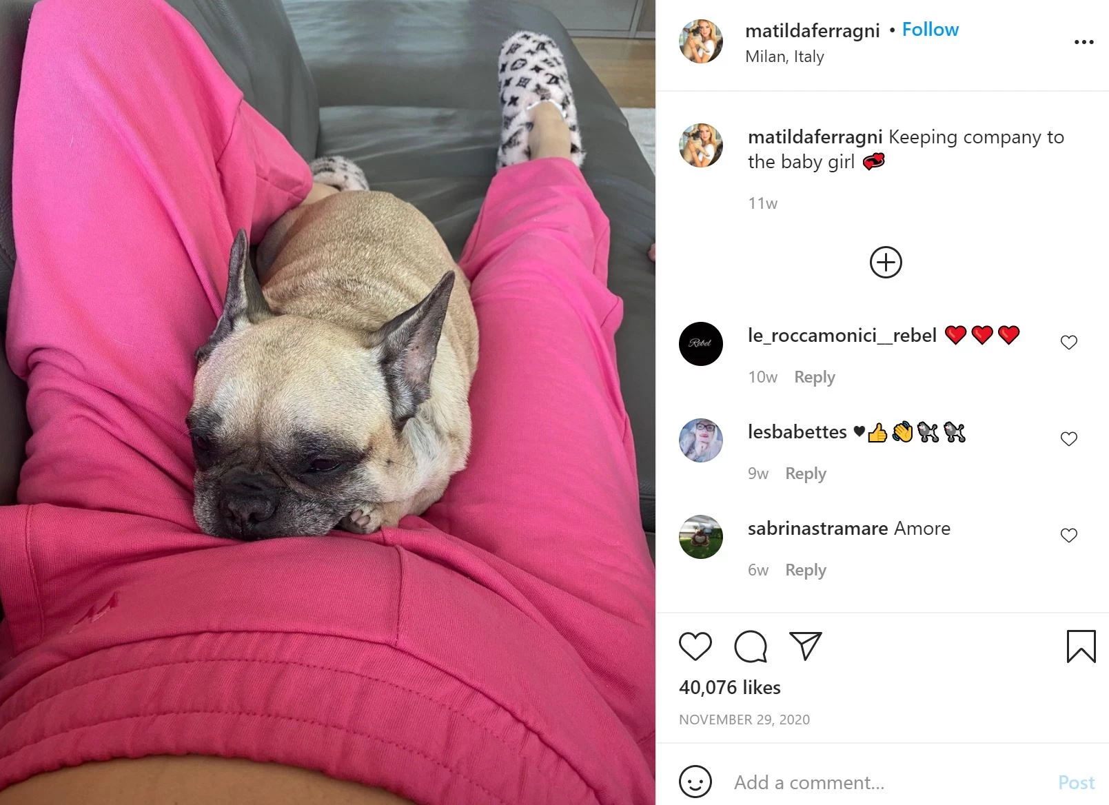 Matilda hond op Instagram