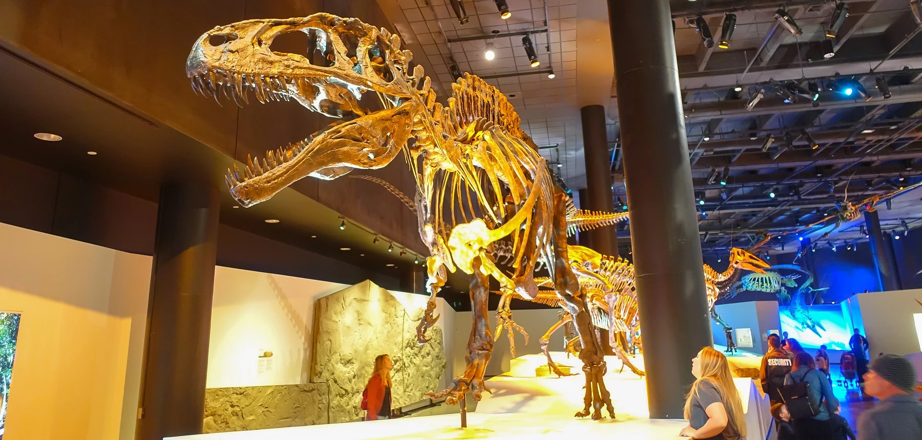 Natuurhistorisch museum in Brussel